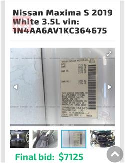 نيسان ماكسيما